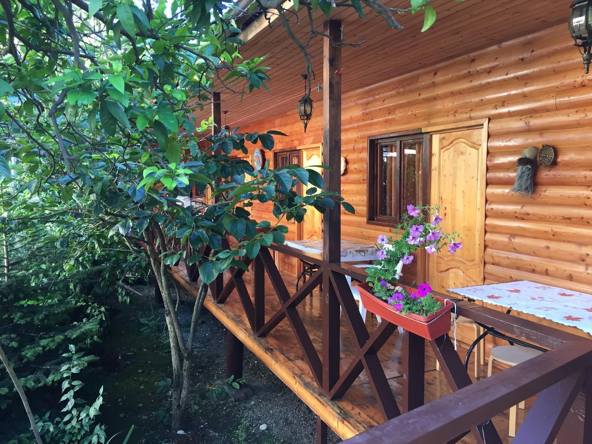 Guest House Nana Gagra Exteriér fotografie