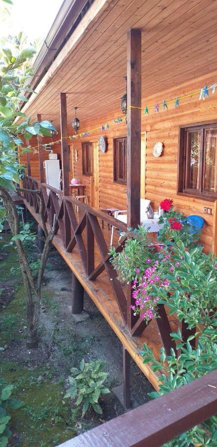 Guest House Nana Gagra Exteriér fotografie